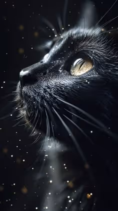 Phantom Glow