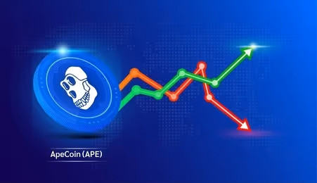 ApeCoinQ1 Findings Inside