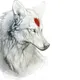 Volk