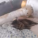 Kitten