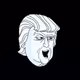 TRUMPUSSY
