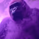 Mega Ape