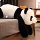 pandaape