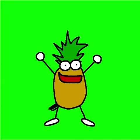 CHIPIZDRIK