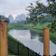 FREE MINT TOKYO PARK