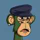BoringApe