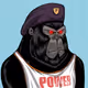 KongsOnApe