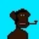 PUNK APES