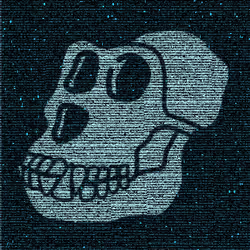 Bored Ape Ascii Club (Apechain)