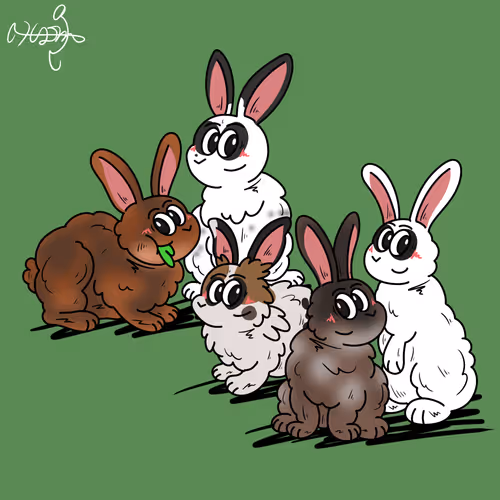 Five Little Bunnies