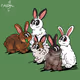 Five Little Bunnies