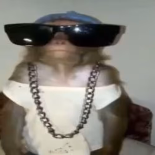 oo