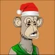 Bored Apes NFT'S