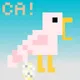 Whats the CA!