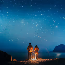 Espace réservé aux médias de l'article