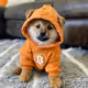 DOG GO TO THE MOON
