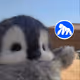 Penguin and dandelion & ApeChain