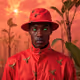 LavaFoxes