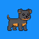 dogs on apechain