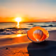 sea snail