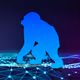 Human Apes