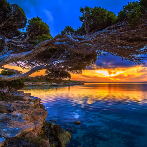 Infinite Horizons
