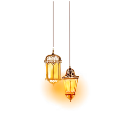 Espace réservé aux médias de l'article