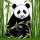 Pandamania