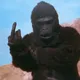FKU APE