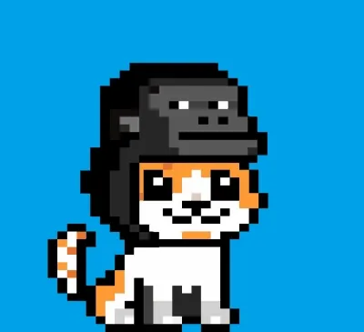 TINY APE HATS KITTIES