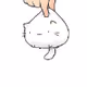 kot