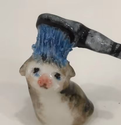Blecil cat