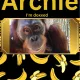 Archie