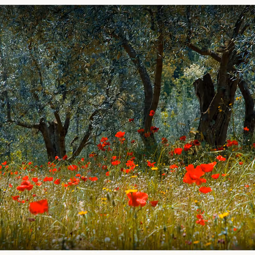 Darkstar knights 303