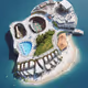 APE ISLAND