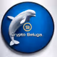 Beluga2