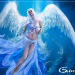 アイテム メディア プレースホルダー