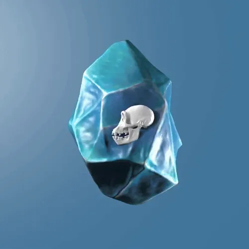 STONE APE