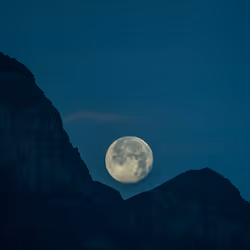 Element-Medien-Platzhalter