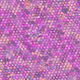 1000021