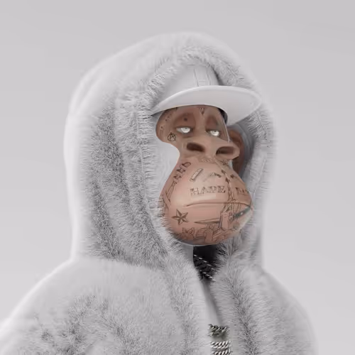 meet to unlock with zady