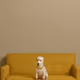 paradaisik_dog