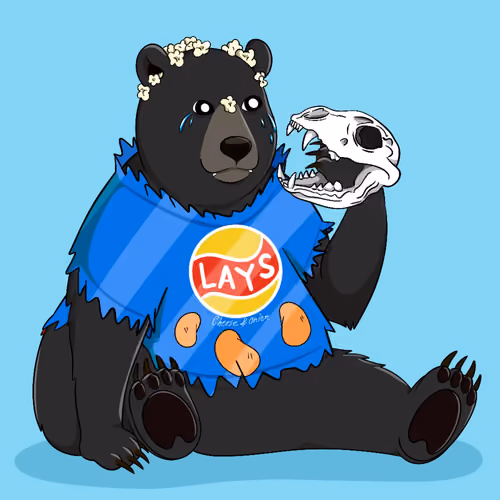 Noo Bears #87
