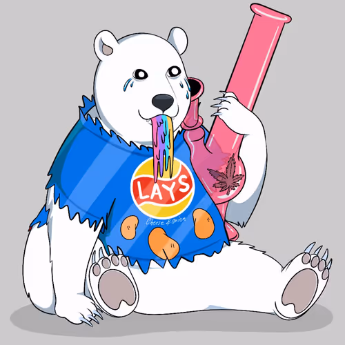 Noo Bears #70