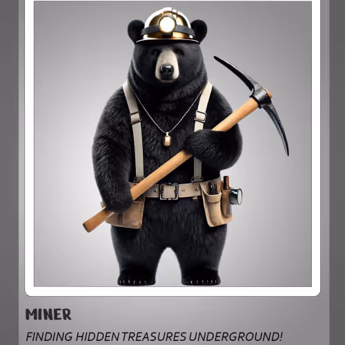 Bera Cards 6