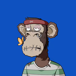 955