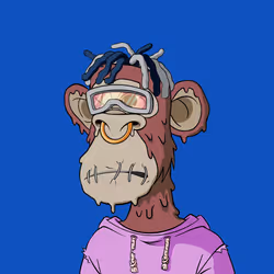 4620