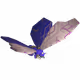 894