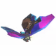 16294