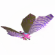 14246